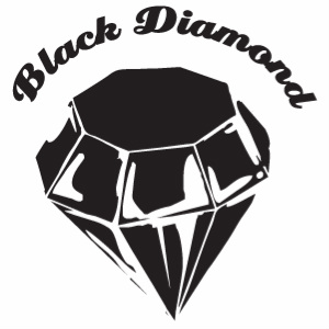 Roberts Surfboards Black Diamond Logo