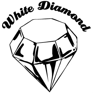 Roberts Surfboards White Diamond Logo